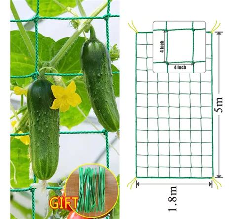 Rede De Treli A Rede De Jardim Para Plantas Trepadeiras Rede