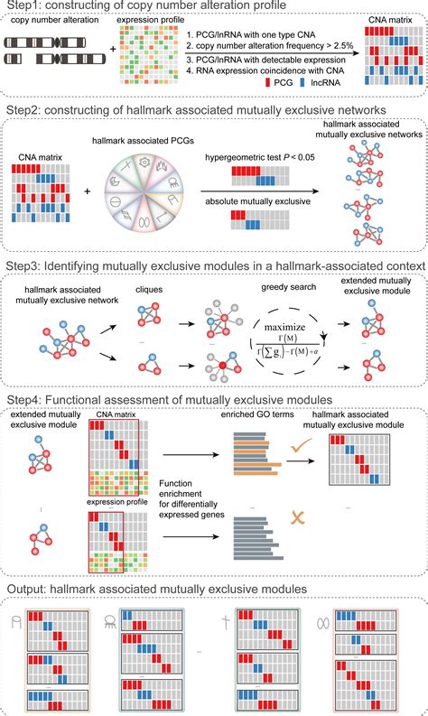 A Pancancer Atlas Of Cancer Hallmarkassociated Candidate Driver