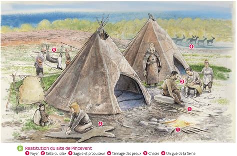 3 Des Chasseurs Cueilleurs Nomades Les Premiers Hommes En 2022