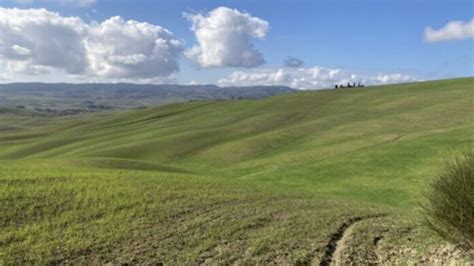 Grano In Valdorcia Chi Lo Produce Perde 290 Euro Ad Ettaro Gazzetta