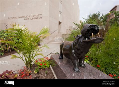 George Washington University's unofficial mascot the Hippo Stock Photo ...