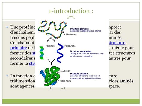 Ppt Exploration Biochimique Des Prot Ines S Riques Powerpoint