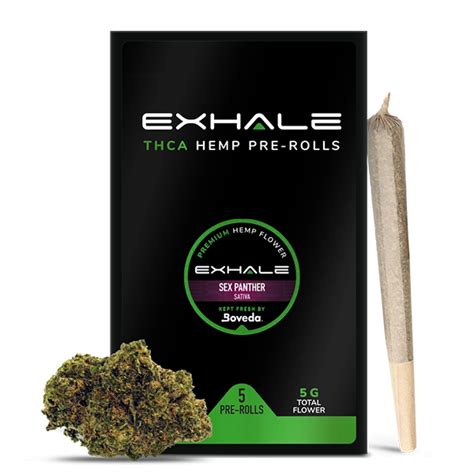 Sex Panther Thca Strain Buy Thca Pre Rolls Online Exhale Wellness