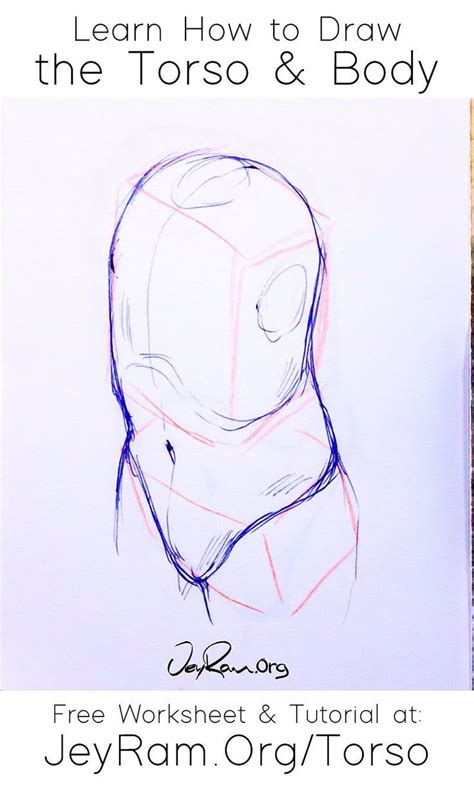 How To Draw The Torso Step By Step Tutorial Free Practice Worksheet