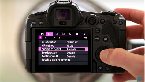 The Best Canon EOS R5 Settings for Bird Photography | Fstoppers