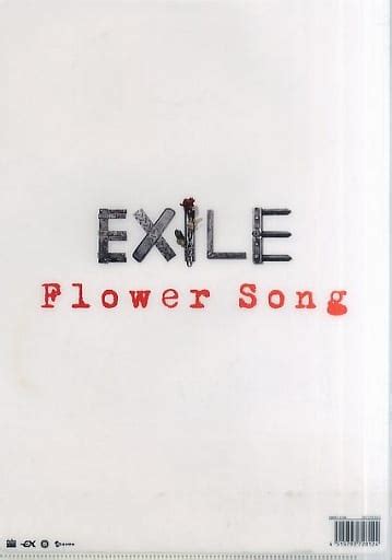 駿河屋 Exile A4クリアファイル 「cd Flower Song」 Exile Mobile会員限定特典（クリアファイル）