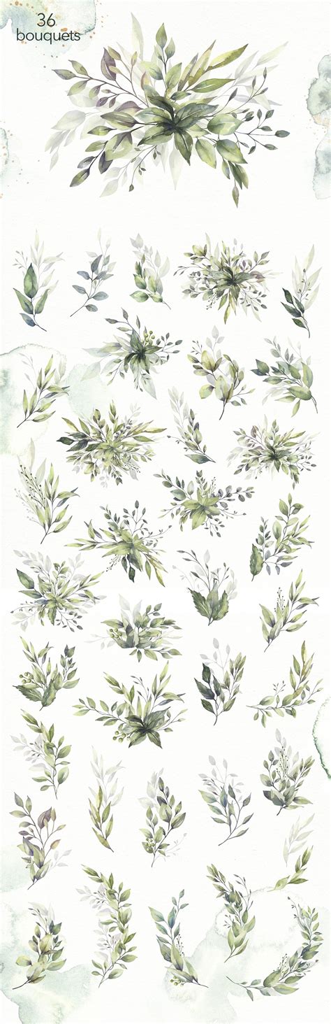 Watercolor Greenery Collection Design Cuts