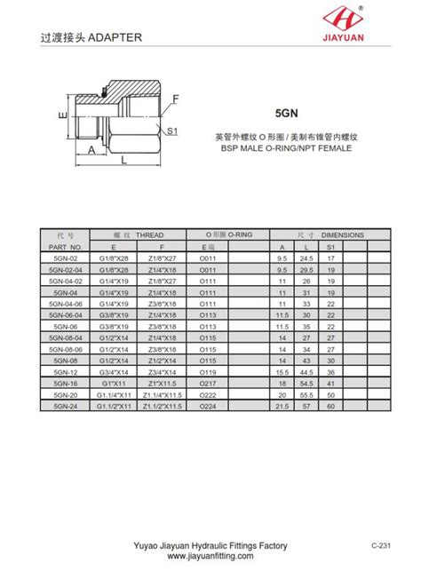 Chine Raccords M Les Bsp Femelles Faites Sur Commande De Npt De Chine