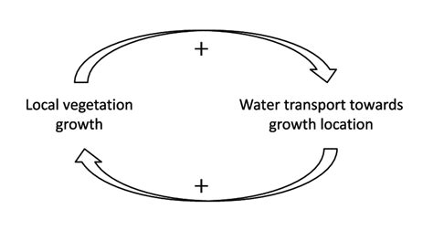 A General Positive Feedback Loop That Drives The Formation Of Download Scientific Diagram