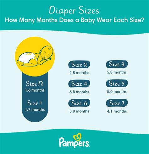 Diaper Size And Weight Chart Guide Pampers 54 Off