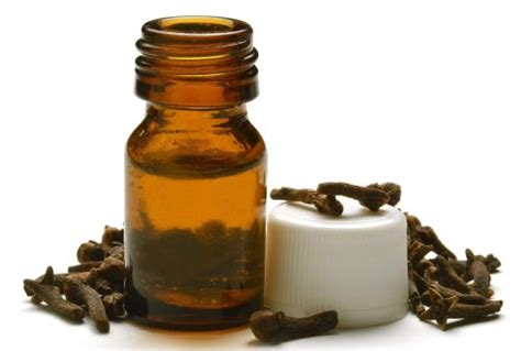 Clove Oil At Rs 1200 Kg Lavang Tel In Ghaziabad ID 23076411997