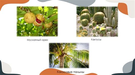 Из Вест-Индии в Мехико - презентация онлайн