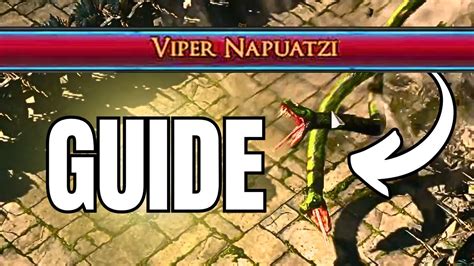 How to Beat Viper Napuatzi in Path of Exile 2 - YouTube