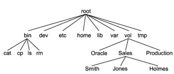 Images Of Unix File System JapaneseClass Jp