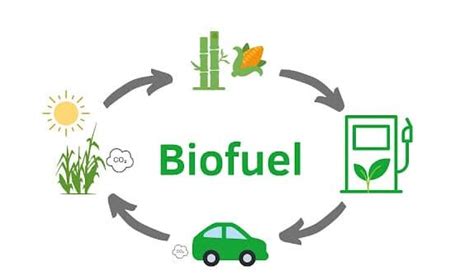 Breakthrough In Low Cost Biofuels From Biomass