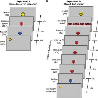 Paradigm Schematic Of A Single Trial Including The Preceding