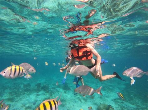 Isla Mujeres Snorkeling Adventure At The Underwater Museum Getyourguide