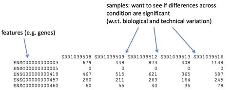 Gene Level Differential Expression Analysis Introduction To Dge