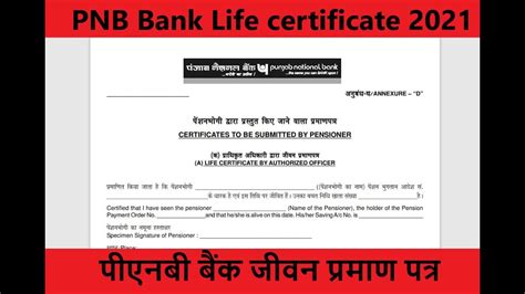 Pnb Life Certificate Kaise Fill Kare Fill Life Certificate Of Punjab