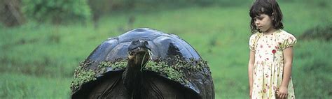 Galapagos Ecotourism & Conservation Challenges - Fishing, Migration