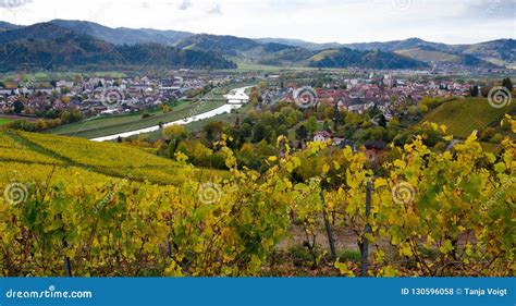 Vineyards Above Gengenbachi in the Black Forest Editorial Stock Photo ...