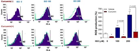 Molecules Free Full Text Mitochondrial Ros Mediated Metabolic And