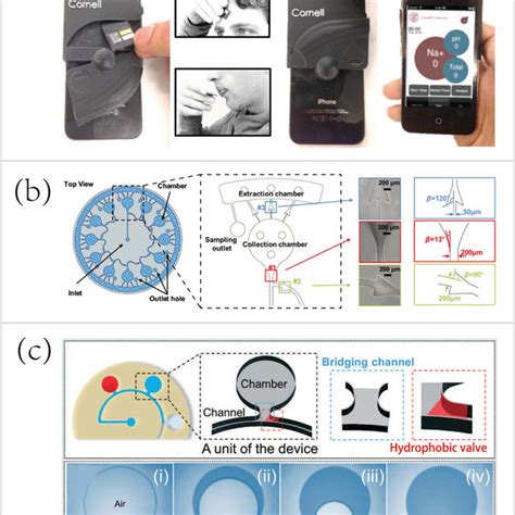 Representative examples of wearable biosensors for both healthcare and ...