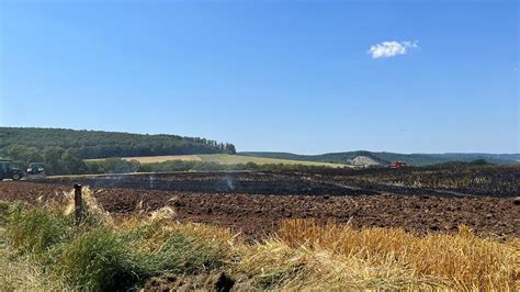 Weser Ith News Nachrichten Aus Dem Landkreis Holzminden Und Umgebung