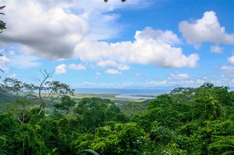 Daintree Rainforest Climate