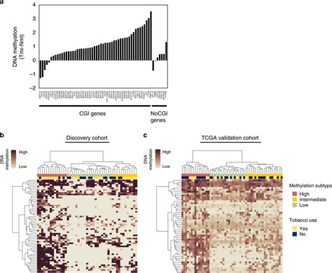 Unsupervised Hierarchical Clustering Based On Dna Download Scientific Diagram