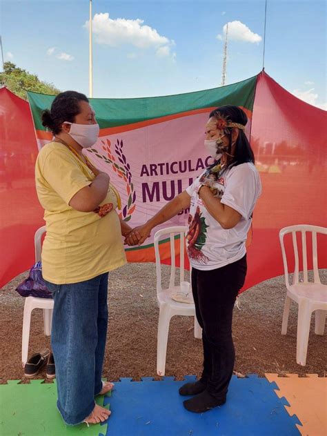 Autocuidado E Cuidado Coletivo Na Ii Marcha Das Mulheres Ind Genas