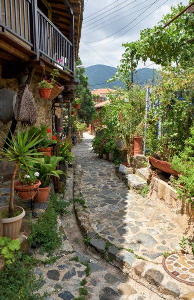 Old Kakopetria Troodos Mountains View Stone Paved Street Surrounded