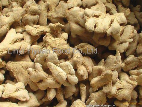 Top Quality Organic Food Whole Dried Ginger For Ginger Buyerchina Yiyuan Food Price Supplier