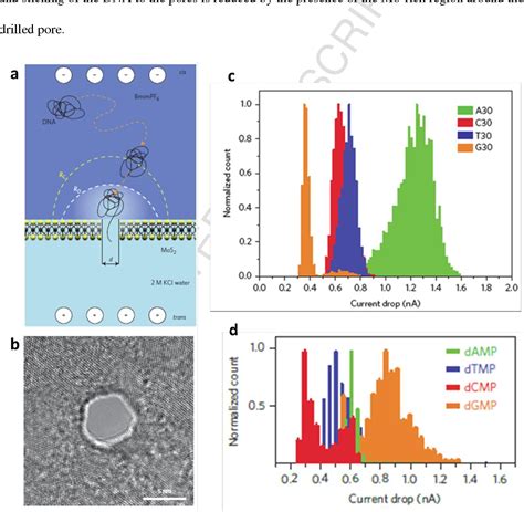 Figure 2 From Functionalization Of 2d Transition Metal Dichalcogenides For Biomedical