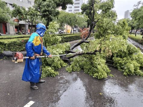 高雄瞬间暴雨酿灾 路树倒榻 污水返流四川暴雨致村庄内涝 轿车被冲进激流重庆暴雨致道路塌方多车掉落影响