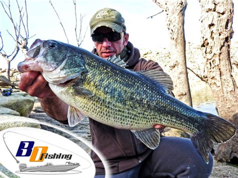 Pesca Del Black Bass Bo Fishing Guia De Pesca