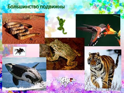 Животный организм и его особенности - презентация онлайн