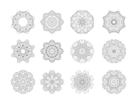 premium vector circular pattern set