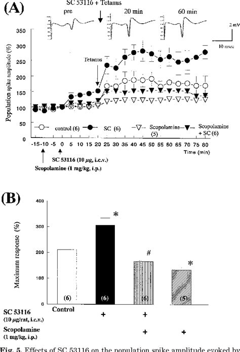 PDF Evidence For Involvement Of Central 5 HT 4 Receptors In