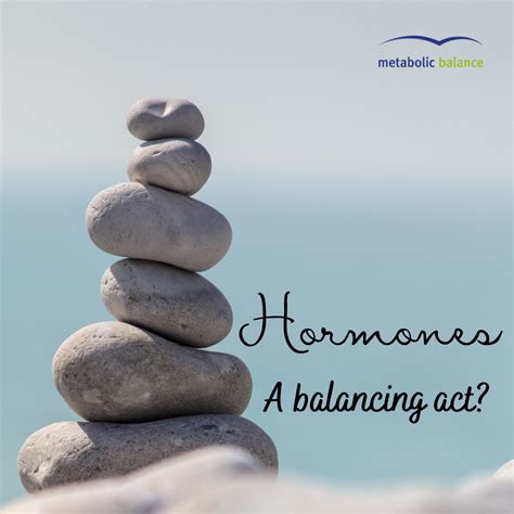 Hormones And Metabolic Balance Metabolic Balance Blog