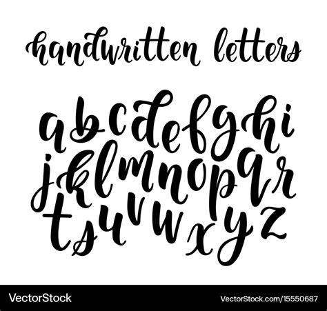 Handwritten latin calligraphy brush script Vector Image