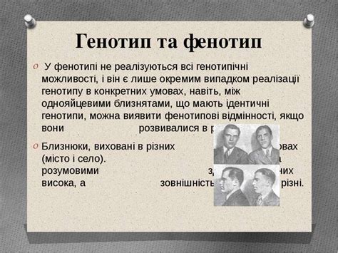 Генотипи і фенотипи - презентація з біології