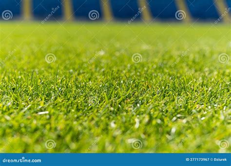 Grass at a Football Stadium Stock Image - Image of background, blurred ...