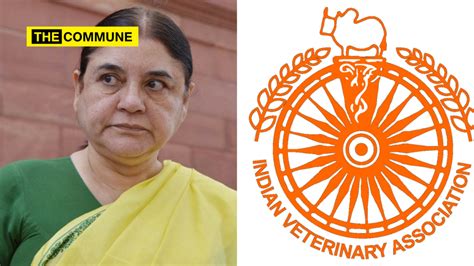 Indian Veterinary Association Slams Mp Maneka Gandhi For Using