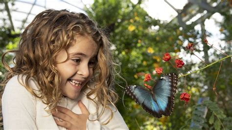 Butterfly Habitat Exhibit At Springs Preserve Las Vegas