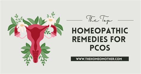 The Top 9 Best Homeopathic Remedies For Pcos The Homeo Mother