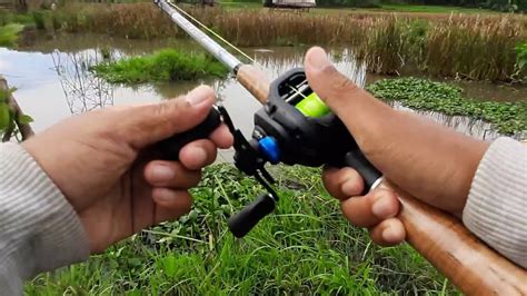 Niat Mancing Gabus Malah Disamber Marlin Youtube