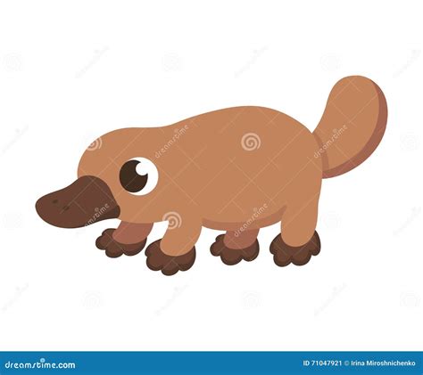 Cartoon Platypus Animal Vector Illustration | CartoonDealer.com #81500136