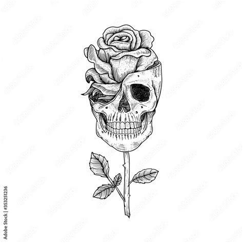 Skull And Flowers Hand Drawn Illustration Tattoo Vintage Print Skull