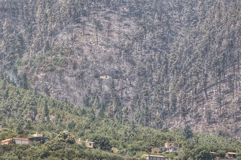 Fotos Los Medios A Reos Siguen Trabajando En El Control Del Incendio